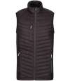 RG447 TRA894 Regatta Navigate Hybrid Bodywarmer Black / Seal Grey colour image